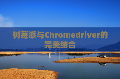 树莓派与Chromedriver的完美结合